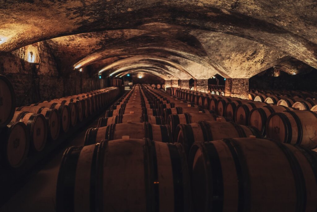 In most places mold is bad. In the cellars of Burgundy though the black mold is a vital ingredient in the proper aging of wine. Be careful about visiting cellars if you are sensitive.